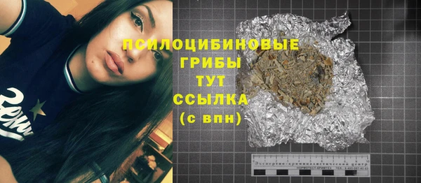 хмурый Богородицк